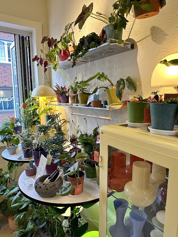 PAPER GARDEN 3