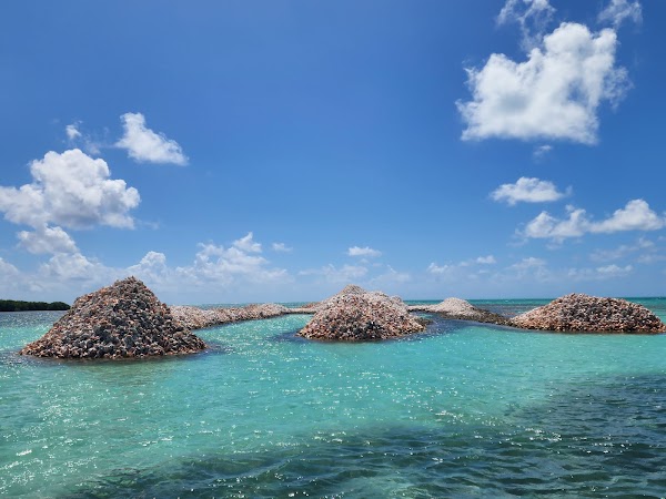 Anegada Conch Mound 1