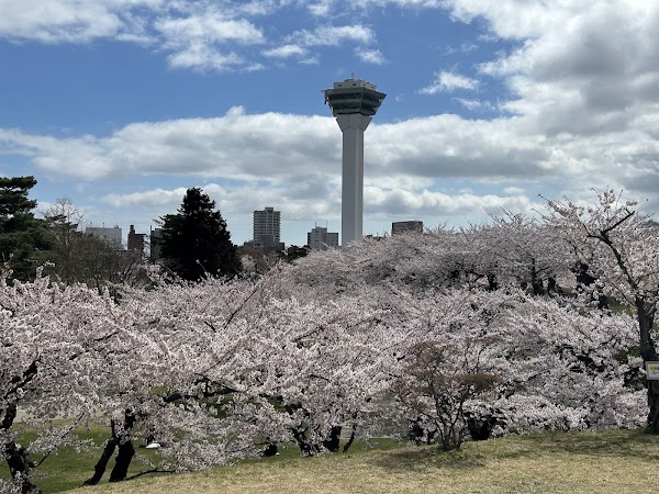Goryokaku Park 3