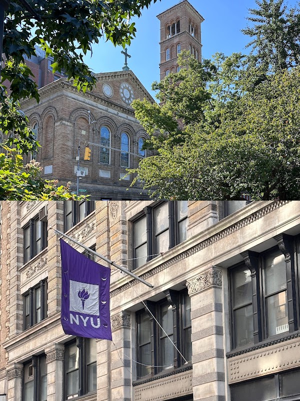 New York University 5