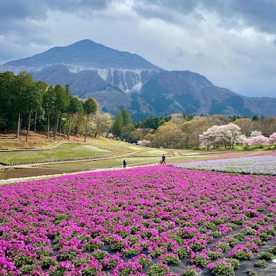 Hitsujiyama Park