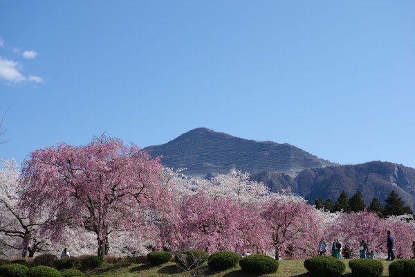 Hitsujiyama Park 5