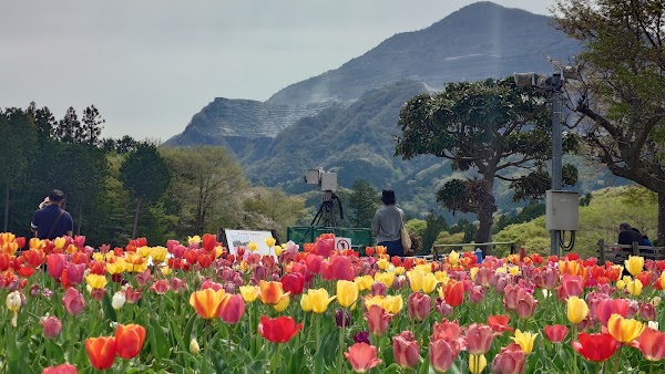 Hitsujiyama Park 2