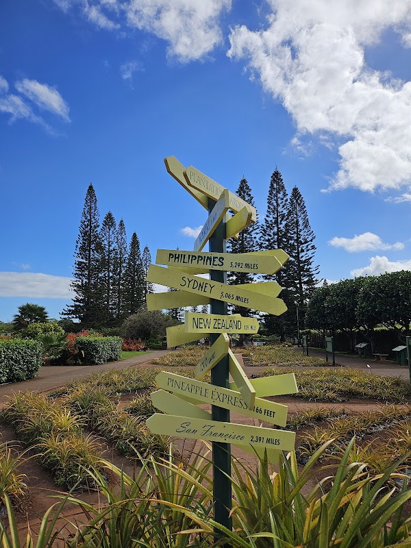 Dole Plantation 4