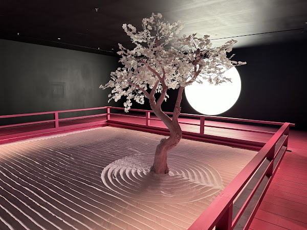 Moco Museum London 3