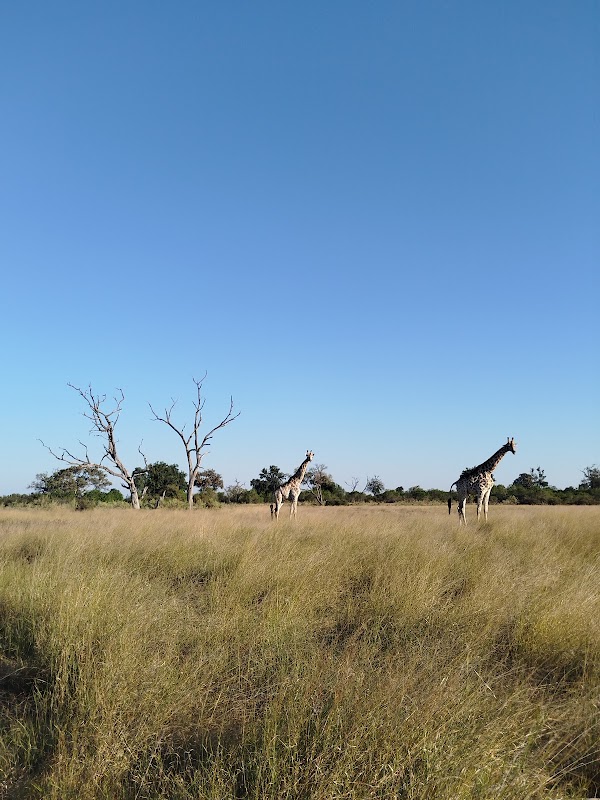 North Island Okavango 5