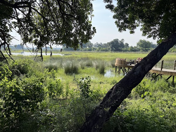North Island Okavango 4