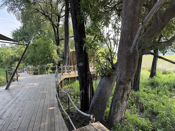 North Island Okavango 2