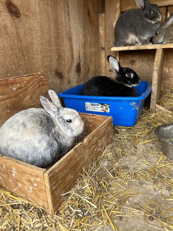 Triple C Farm 3