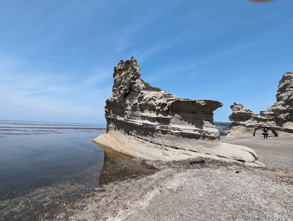 滝瀬海岸シラフラ 5