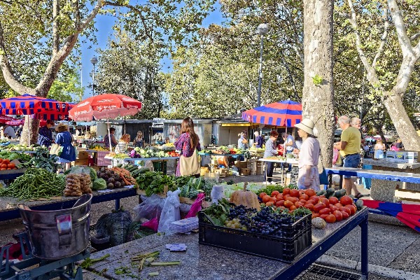 Green Market 5