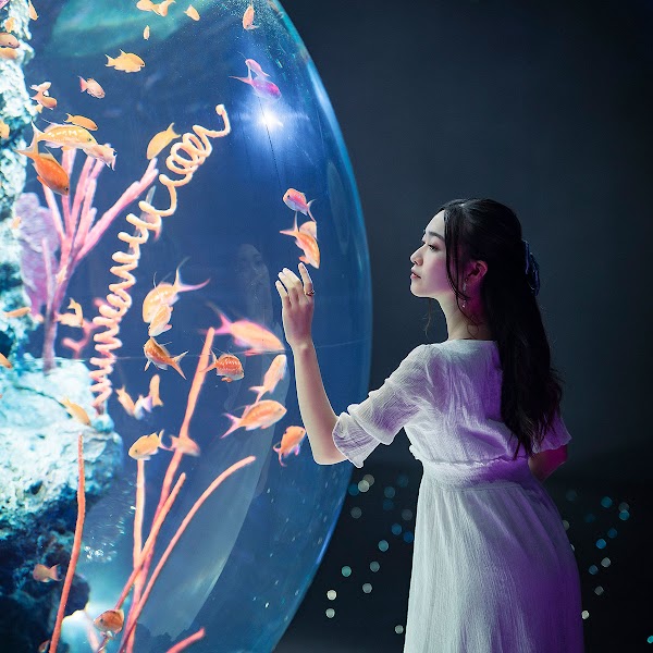 Japan 8