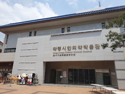 Daegu Yangnyeongsi Museum of Oriental Medicine