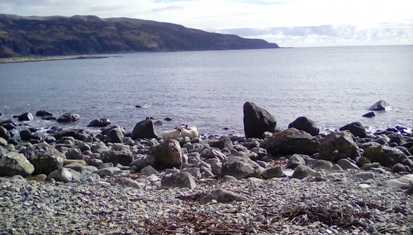 Lochbuie