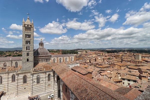 Siena 7