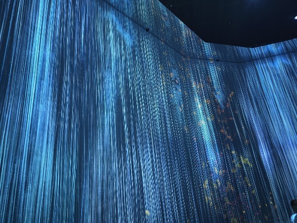 Teamlab Borderless Museum 5