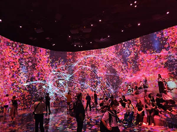 Teamlab Borderless Museum 4