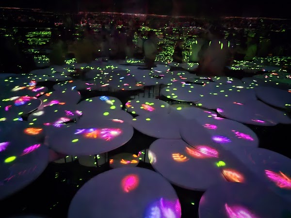 Teamlab Borderless Museum 2