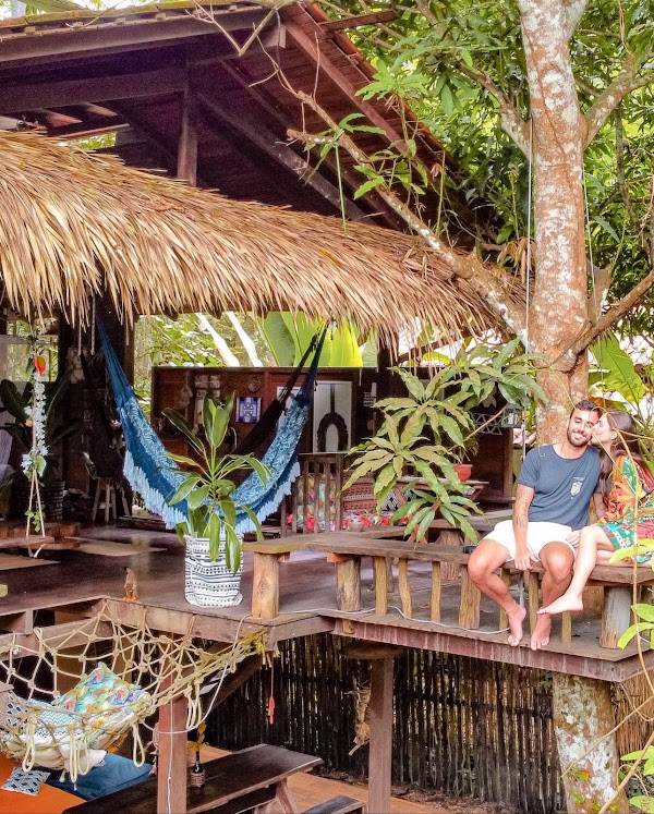 Casa Da Árvore Alter, Sonho Na Amazônia