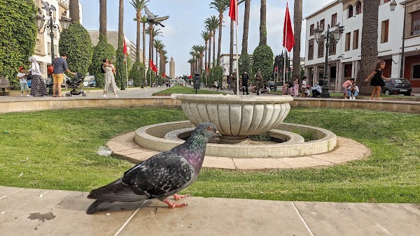 Rabat 3