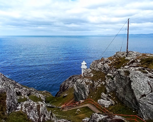 Sheep's Head
