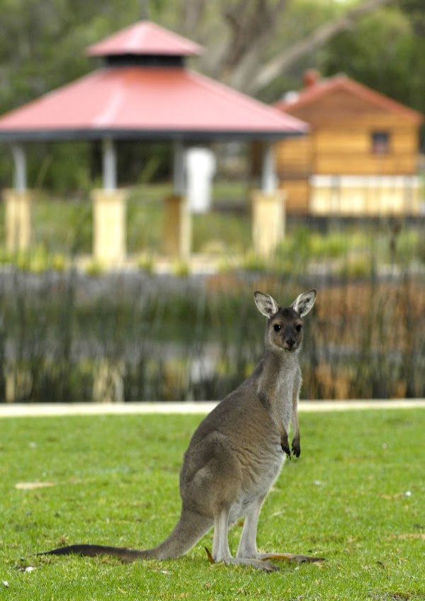 Pinnaroo Valley Memorial Park
