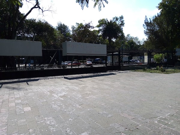 Museo de Arte Moderno 3