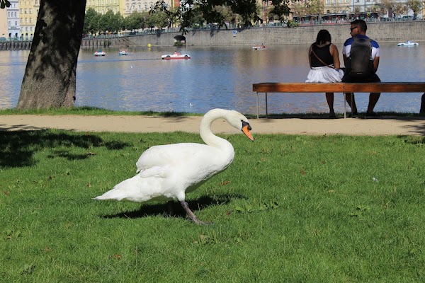 Park Legií 3