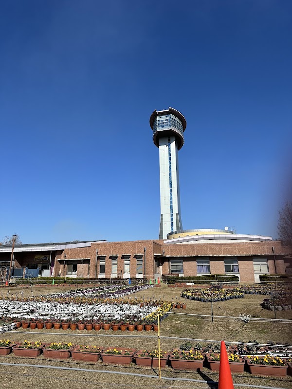 Gyoda Tower