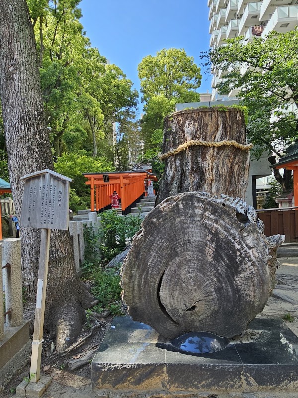 Ikuta Jinja 3