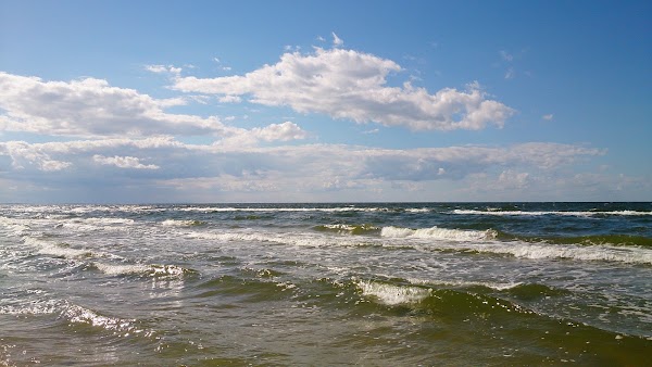 Wisełka 5
