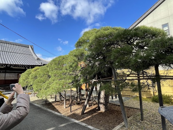 Shōnen-ji Temple (Neko-dera, Cat Temple) 5