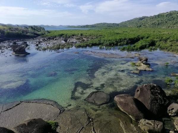 Biri 5