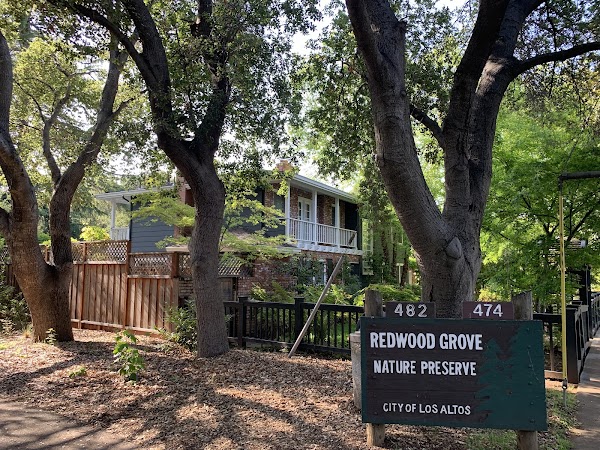 Redwood Grove Nature Preserve 4