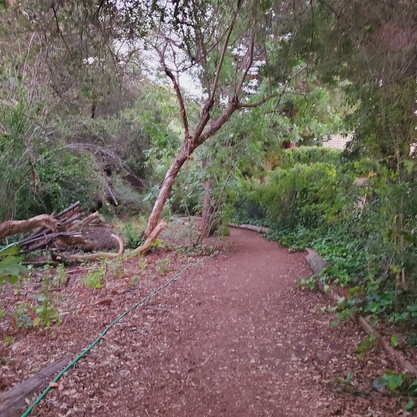 Redwood Grove Nature Preserve 3