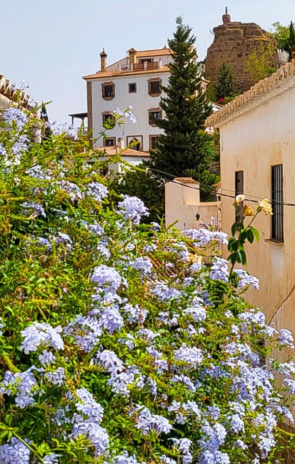 Comares 3