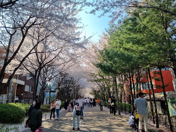 Gyeongui Line Forest Park 4