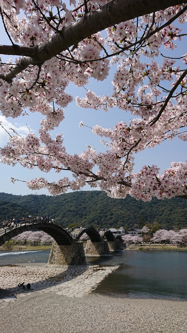 Iwakuni 3