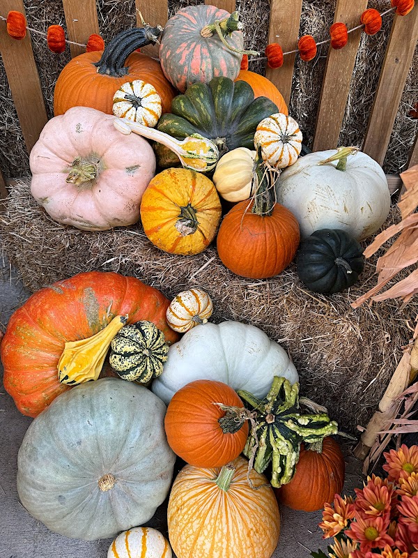 Dallas Farmers Market 2