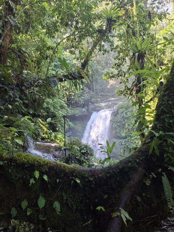 Cascada Alto Chorro 4