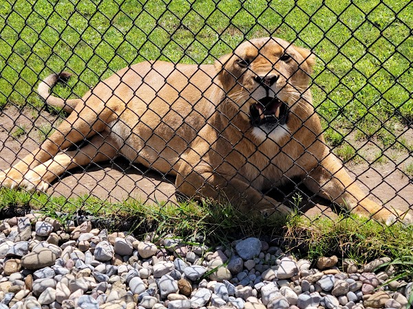 The Wild Animal Park 5