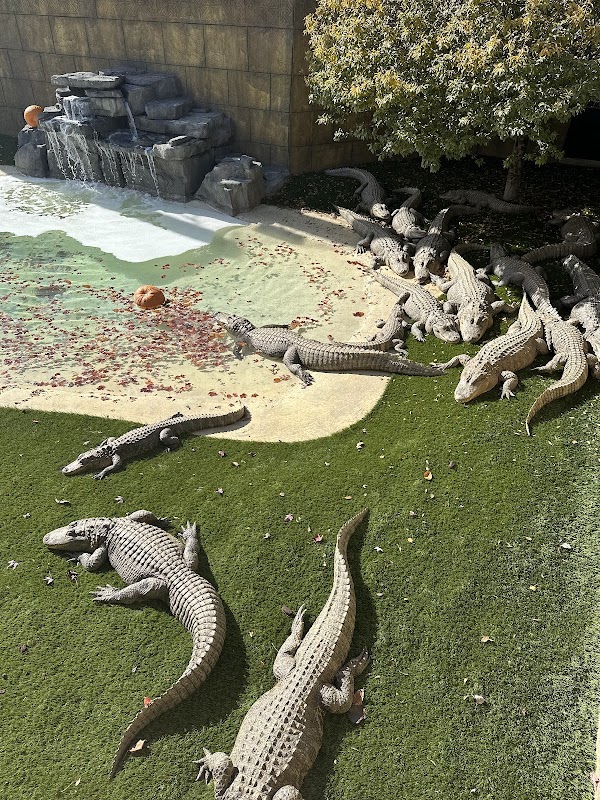 The Wild Animal Park 3