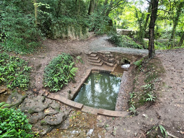 Saint Dyfnog's Well