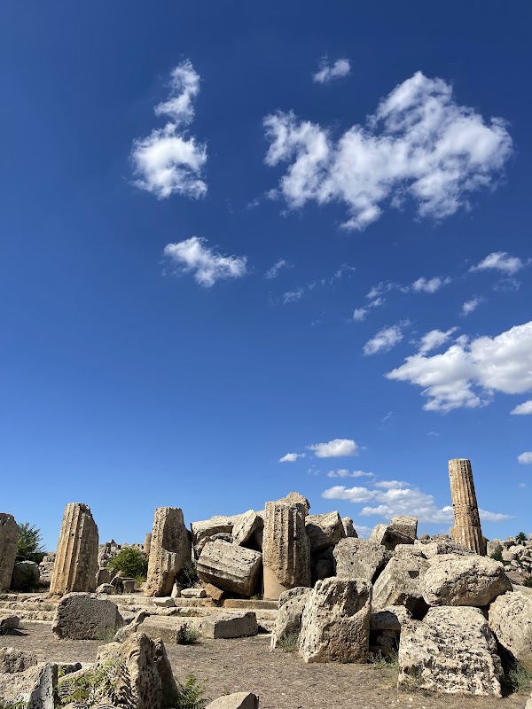 Selinunte Archaeological Park 4