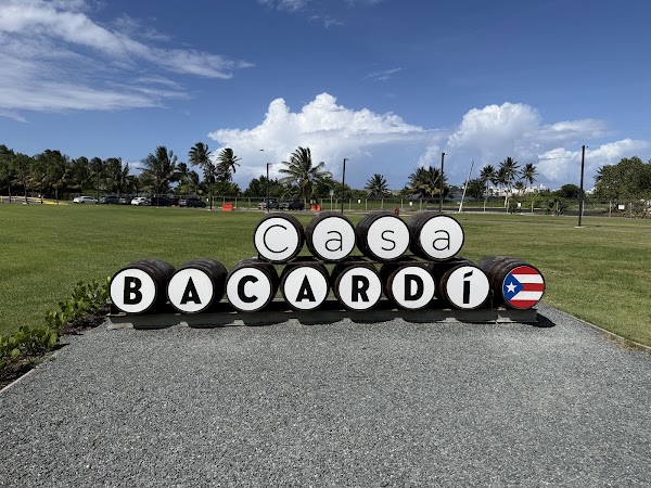 Bacardi 1