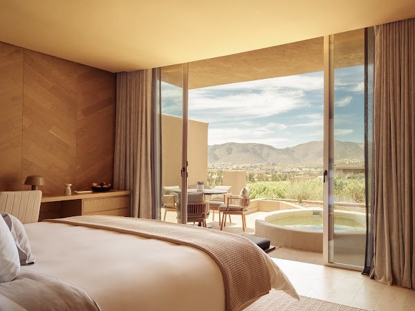 Banyan Tree Veya Valle de Guadalupe