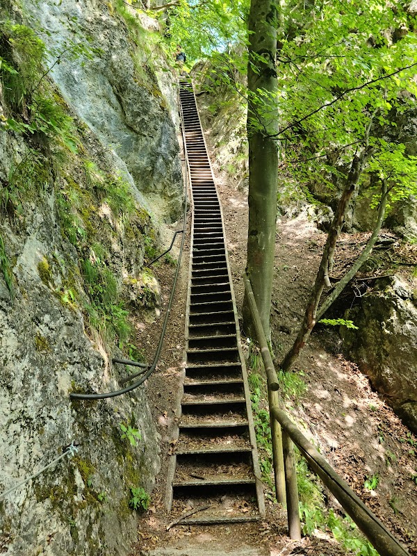 Mala Osojnica