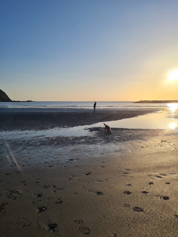 Morfa Borth
