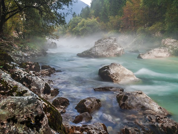 Soča 5