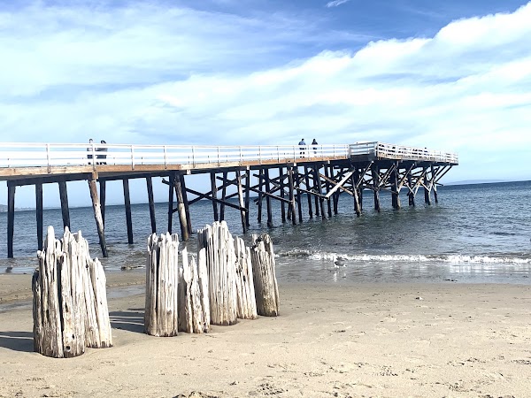 Paradise Cove Road